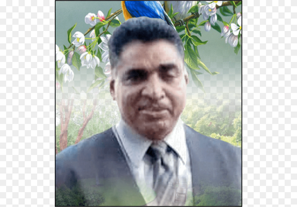 Obituary Of Vishnu Narine Beautiful Songbirds Bluebirds 10cm Round Absorbent, Accessories, Portrait, Photography, Person Free Transparent Png