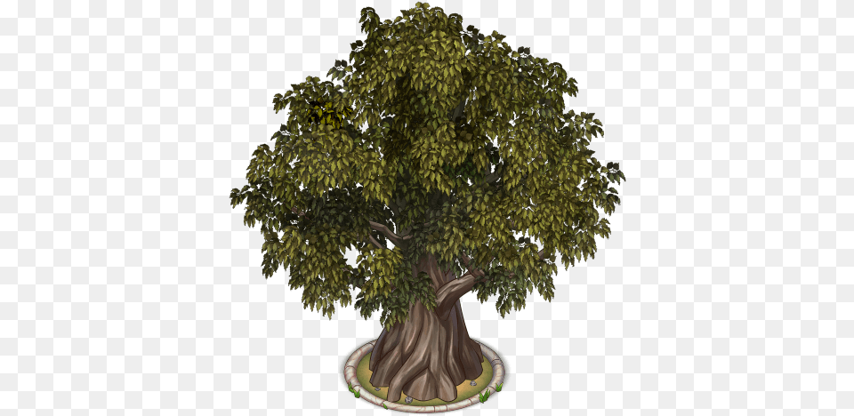 Objbushindigo Objlovetreedegradestage2 Portable Network Graphics, Plant, Potted Plant, Tree, Tree Trunk Png Image