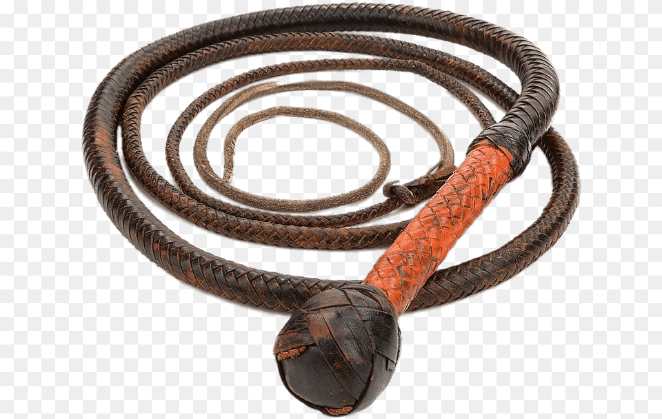 Objects Young Indiana Jones Bullwhip, Whip Free Png Download