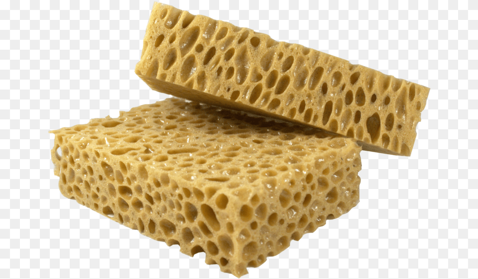 Oblea, Sponge Free Png