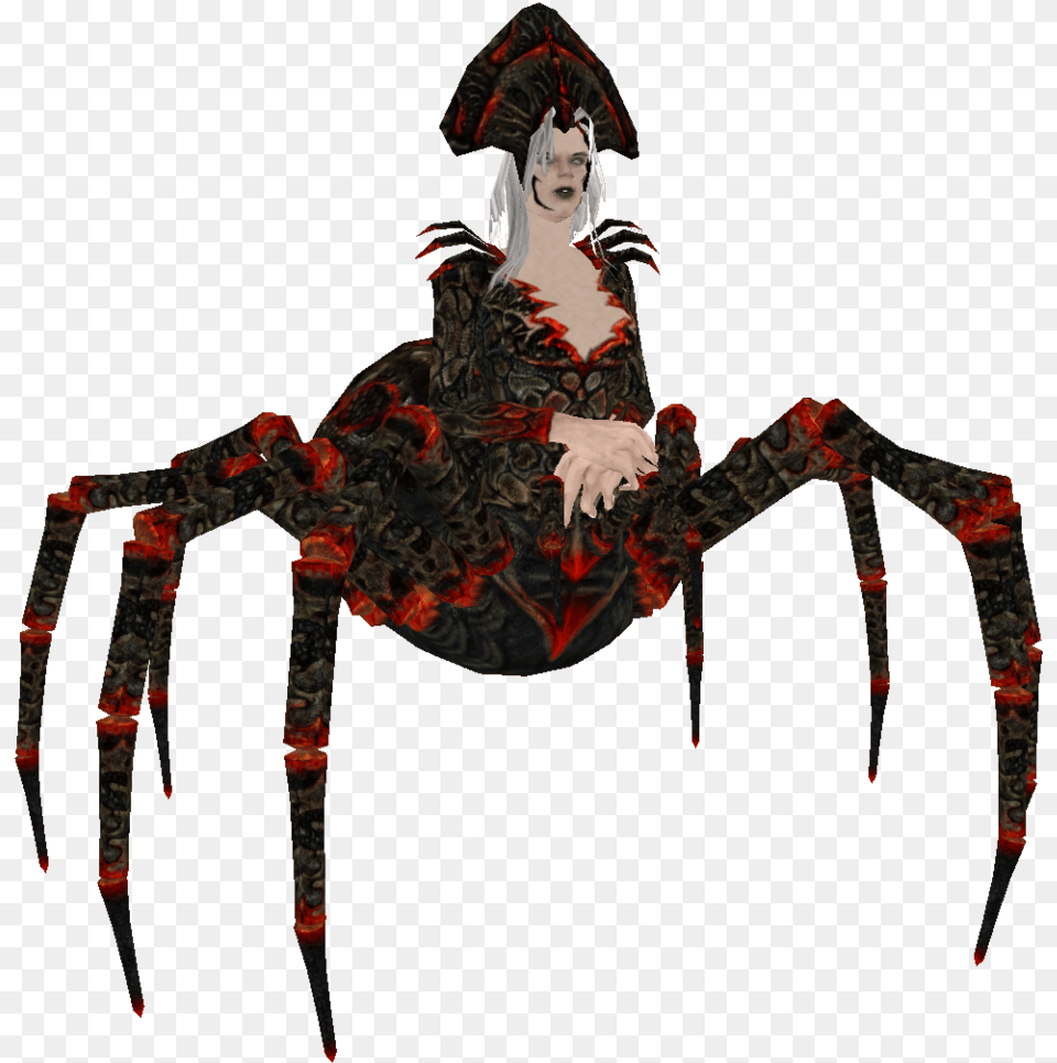 Oblivion Spriggens Are Hotter Then Skyrim Spriggens Elder Scrolls Oblivion Spider, Person, Electronics, Hardware, Animal Png Image