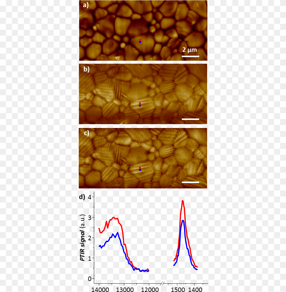 Observation Of Ferroelastic Domains In Organic Inorganic Perovskite Afm, Accessories Free Transparent Png