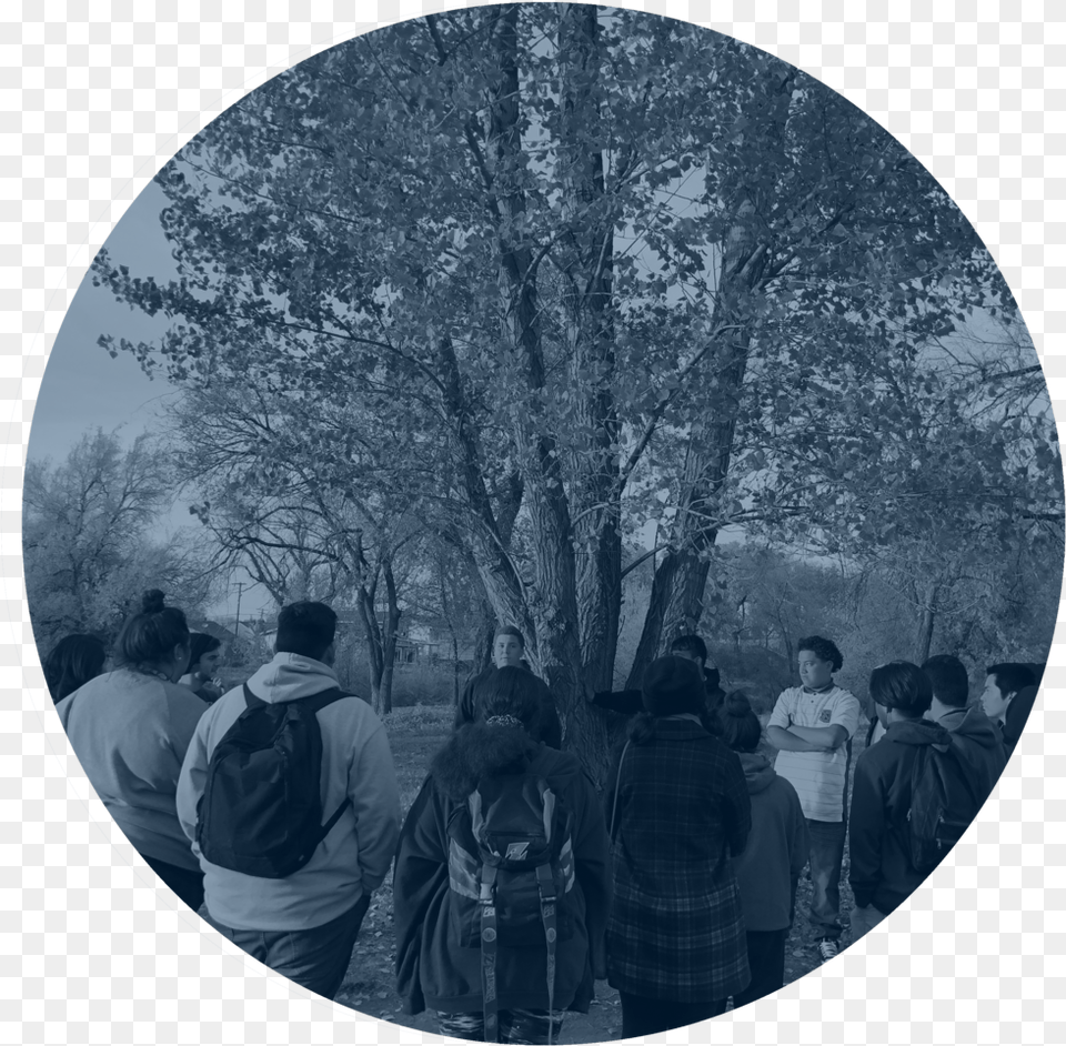 Observe Group Blue Circle, Photography, Adult, Tree, Plant Free Png Download