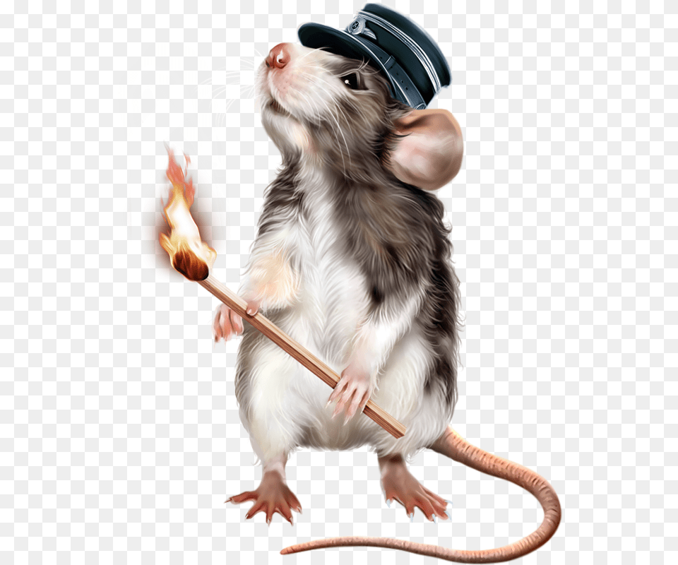 Obsuzhdenie Na Liveinternet Kangaroo Rat, Animal, Mammal, Electronics, Hardware Png Image