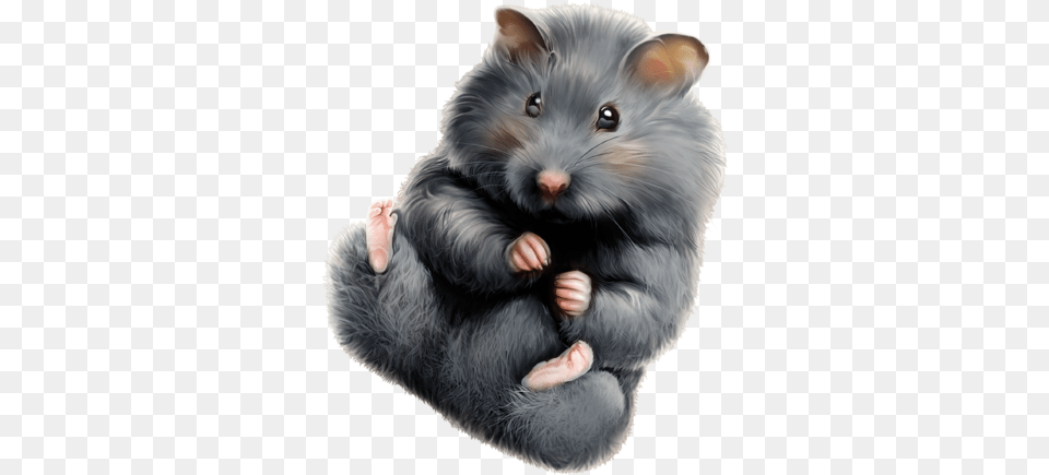 Obsuzhdenie Na Liveinternet Portable Network Graphics, Animal, Mammal, Rat, Rodent Png