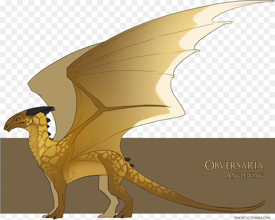 Obversaria The Anglewing I Picture Anglewings To Be Obversaria Temeraire, Dragon, Animal, Dinosaur, Reptile Png