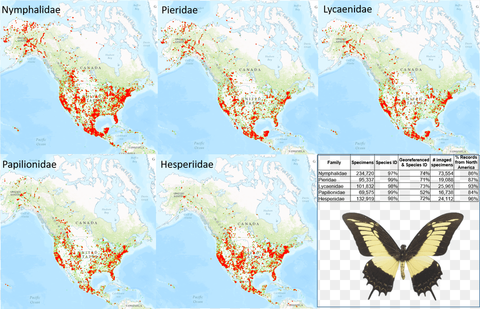 Occurrence Maps And Statistics For Five Families Of Maps Lepidoptera, Chart, Map, Plot, Atlas Free Png Download