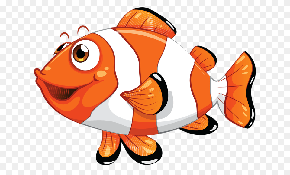 Ocean, Animal, Sea Life, Fish Free Transparent Png