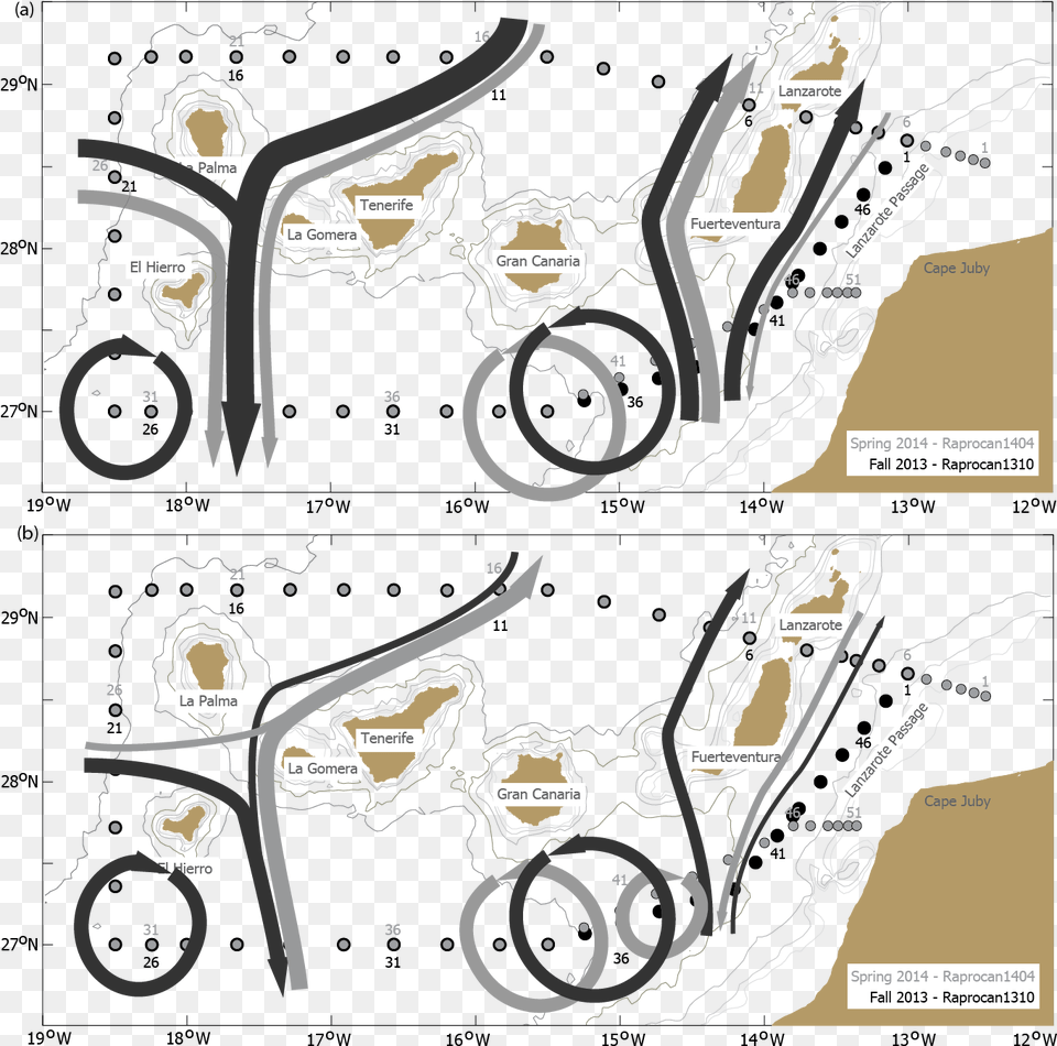 Ocean Circulation In The Canary Basin Diagram, Art, Graphics, Plant, Lawn Mower Free Transparent Png