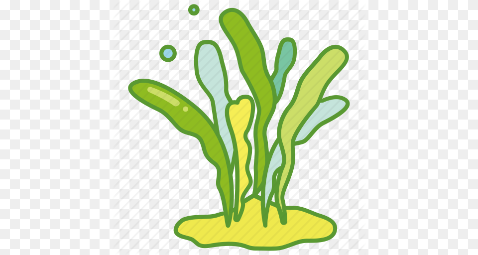 Ocean Clipart Seaweed, Green, Ball, Plant, Sport Png Image