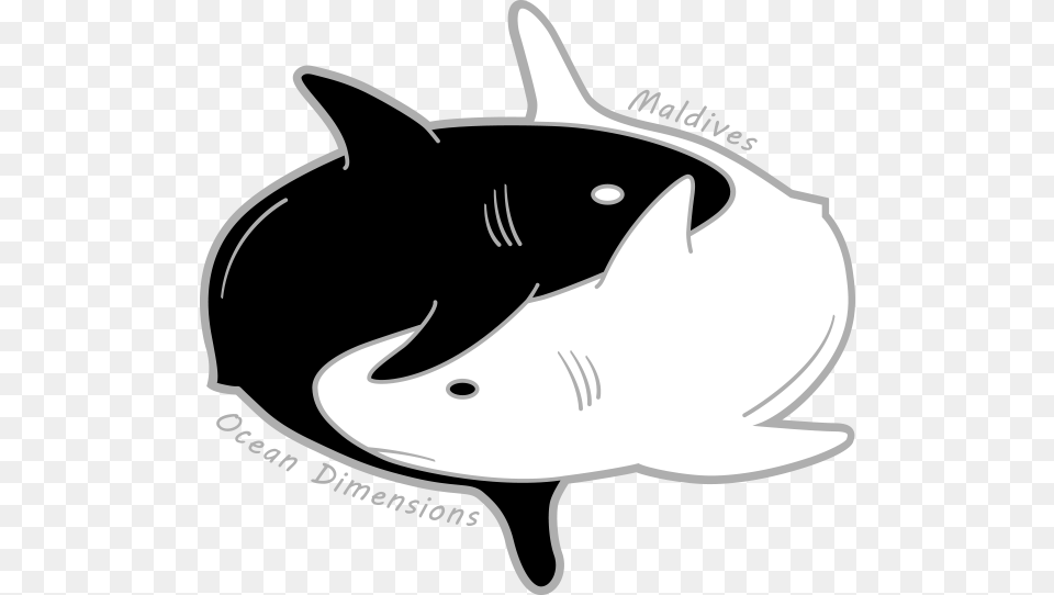 Ocean Dimensions Maldives Great White Shark, Animal, Sea Life, Fish, Stencil Free Transparent Png
