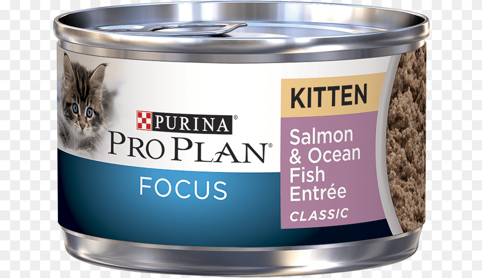 Ocean Fish, Aluminium, Food, Tin, Canned Goods Free Transparent Png