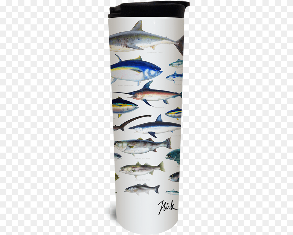 Ocean Fish Tumbler Watermark, Animal, Sea Life, Shark Free Transparent Png