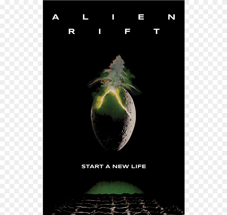 Ocean Grown Poster Pack Alien Vault The Definitive Story Behind The Film, Nature, Night, Outdoors, Advertisement Free Png Download