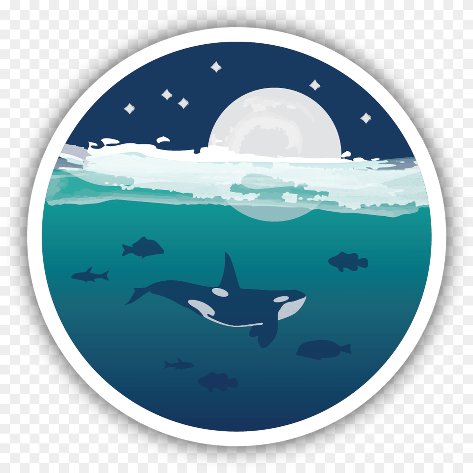Ocean Orca Sticker Orca Sticker, Animal, Fish, Sea Life, Shark Free Png Download