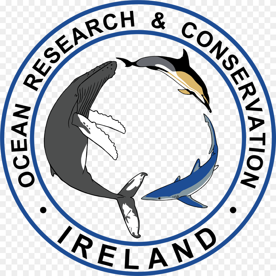 Ocean Pollution Ireland Organizations, Animal, Sea Life, Fish, Shark Free Png Download
