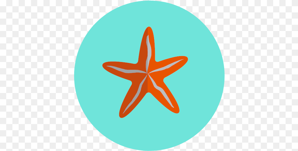 Ocean Sea Star Icon, Animal, Sea Life, Invertebrate, Starfish Png