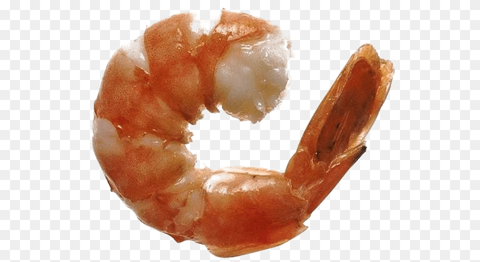 Ocean Shrimp Play Shrimp Cocaine, Animal, Food, Invertebrate, Sea Life Free Png