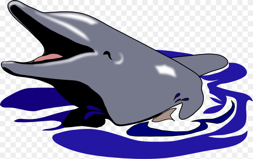 Oceanic Dolphin Drawing Common Bottlenose Dolphin Computer Icons, Animal, Mammal, Sea Life, Fish Png