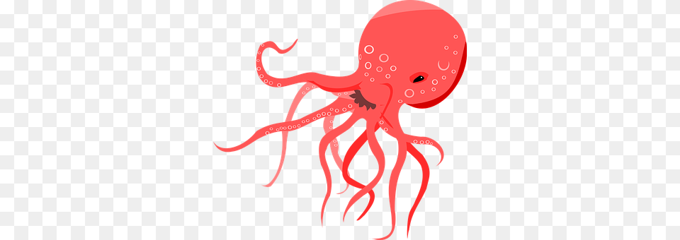 Oceano Polvo Red Mar Octopus Clipart, Animal, Sea Life, Invertebrate, Reptile Free Png