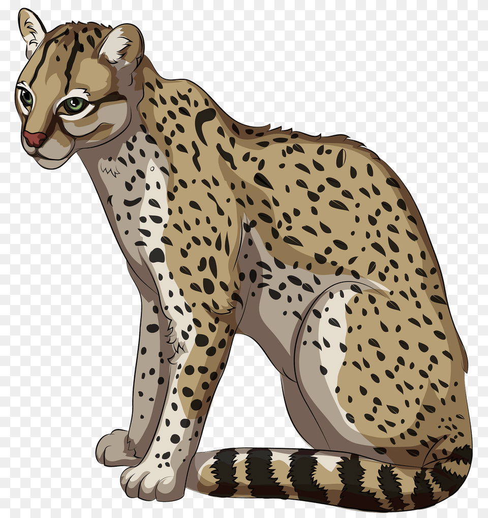 Ocelot Clipart, Animal, Cheetah, Mammal, Wildlife Png Image