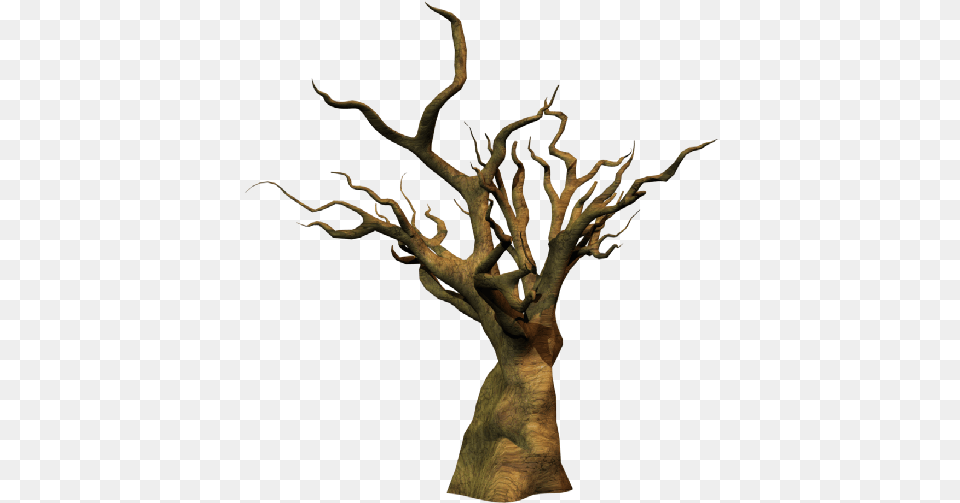Oct, Plant, Tree, Tree Trunk, Wood Free Png