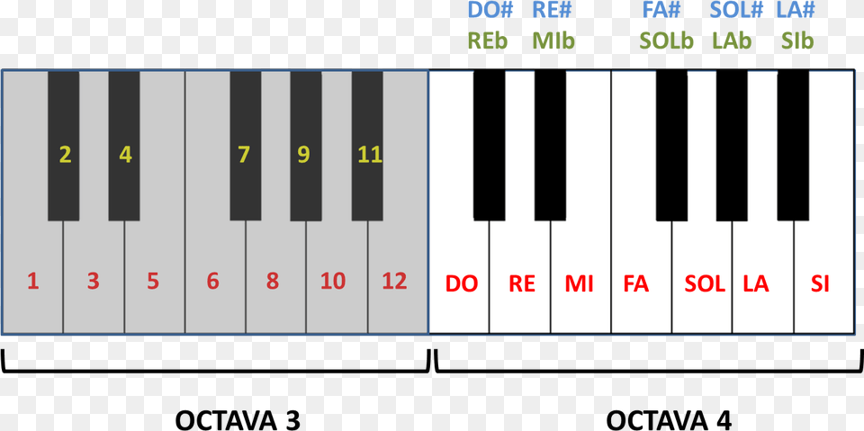 Octavas 3 Y 4 De Un Teclado Piano Keyboard, Musical Instrument, Scoreboard Png