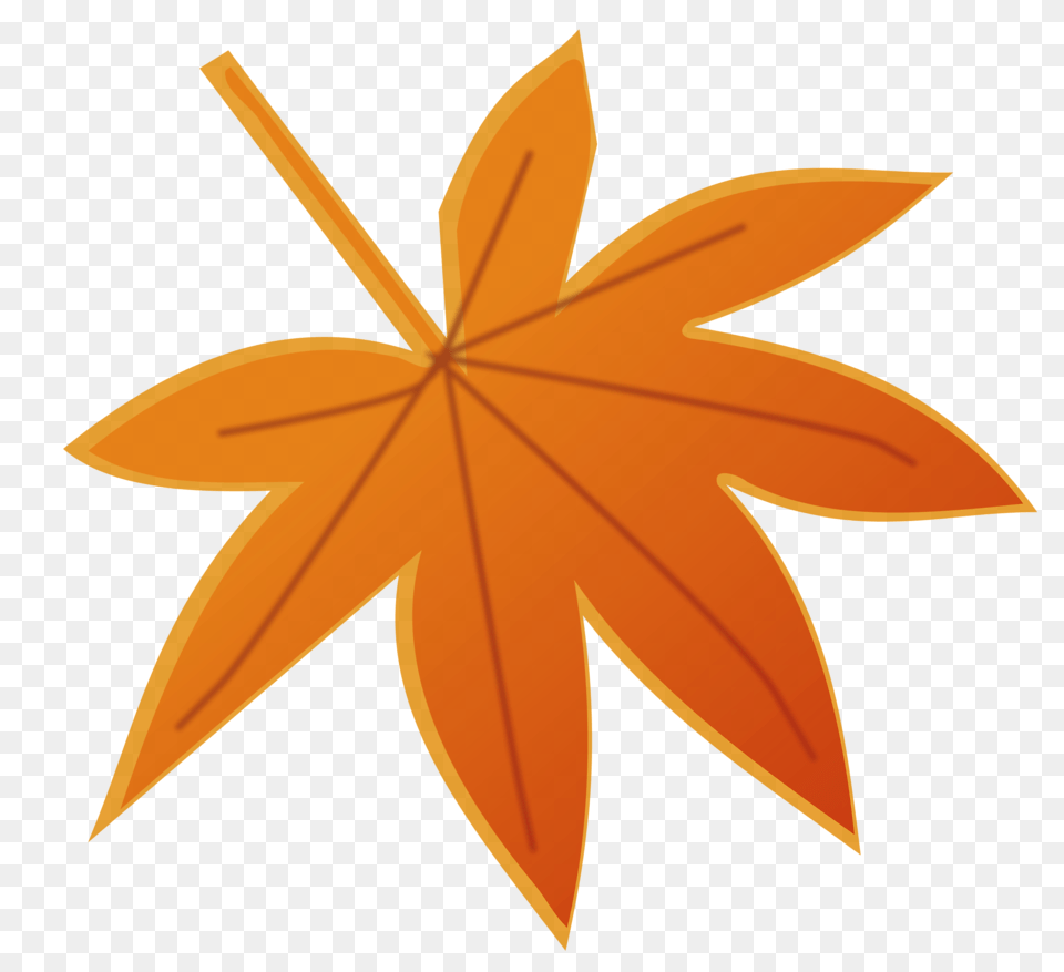 October Schoolcnxt, Leaf, Plant, Tree, Maple Leaf Png Image