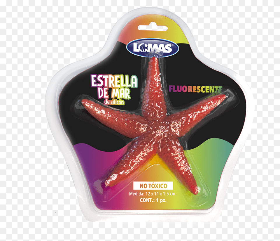 Octopus, Animal, Sea Life Free Png Download