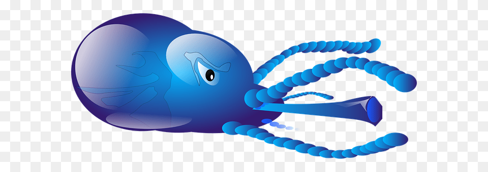 Octopus Maraca, Musical Instrument Free Png