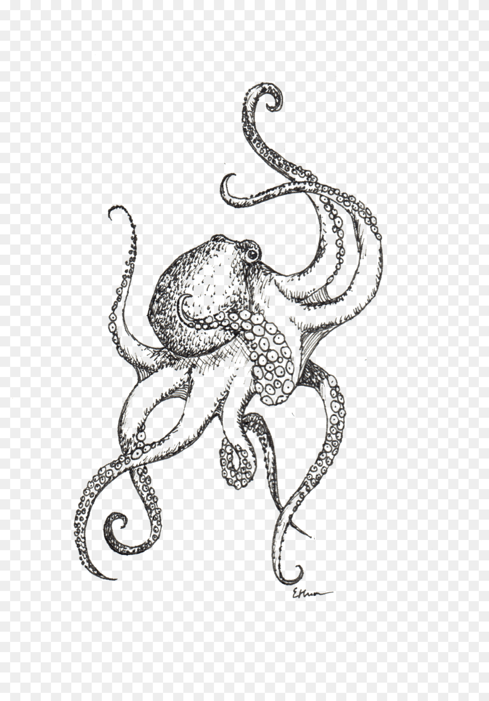 Octopus, Animal, Sea Life, Invertebrate, Spider Free Transparent Png