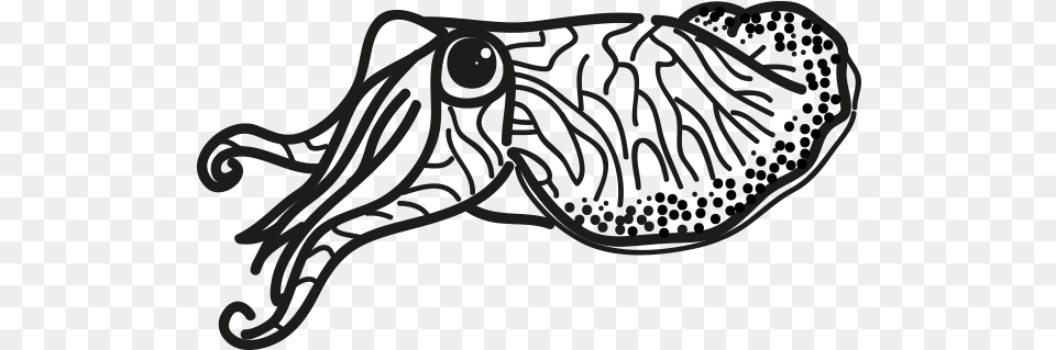Octopus, Animal, Sea Life Free Transparent Png