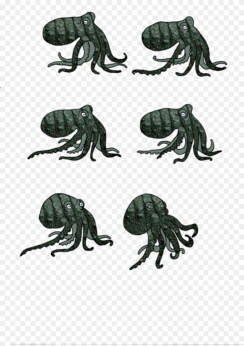 Octopus, Animal, Fish, Flea, Insect Free Png Download