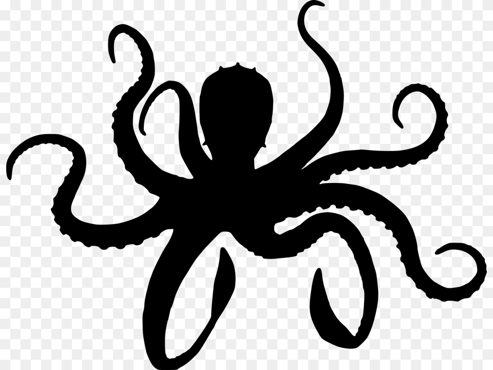 Octopus, Gray Free Transparent Png