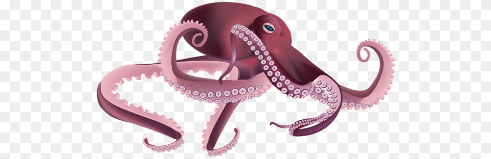 Octopus, Animal, Sea Life, Invertebrate, Smoke Pipe Free Png