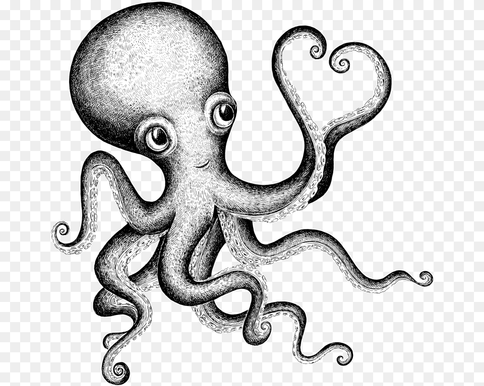 Octopus Art Cute Octopus Tattoo, Animal, Reptile, Snake, Sea Life Free Transparent Png