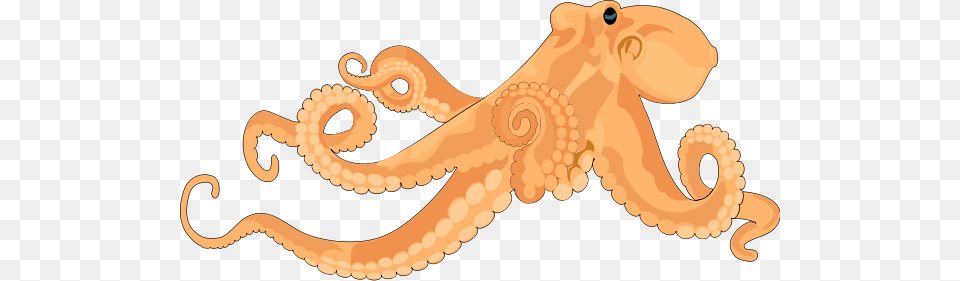 Octopus Clip Arts For Web, Animal, Invertebrate, Sea Life, Dinosaur Png