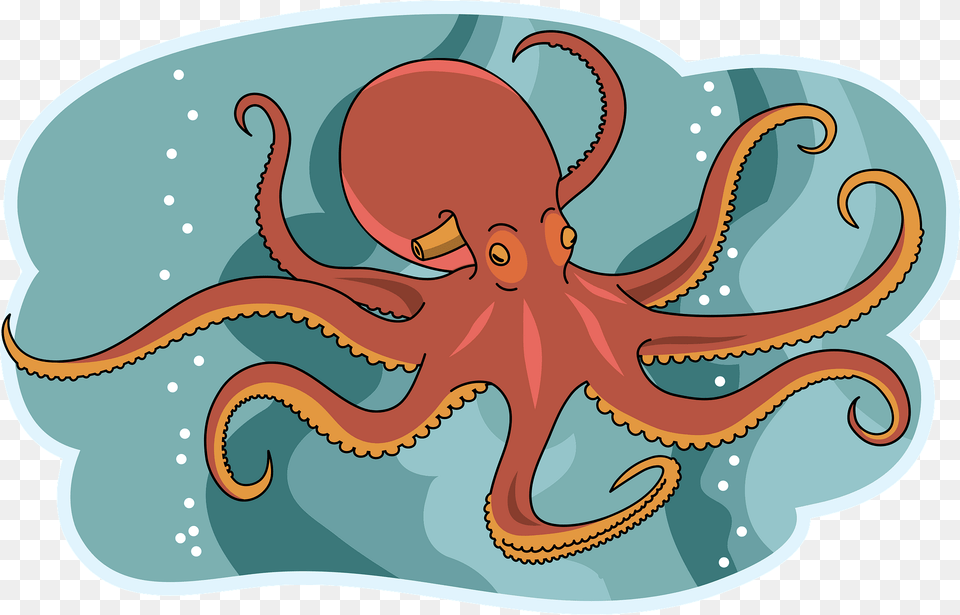 Octopus Clipart, Animal, Sea Life, Invertebrate, Baby Free Png