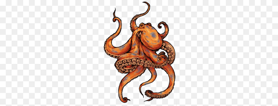 Octopus Clipart, Animal, Invertebrate, Sea Life, Accessories Free Png