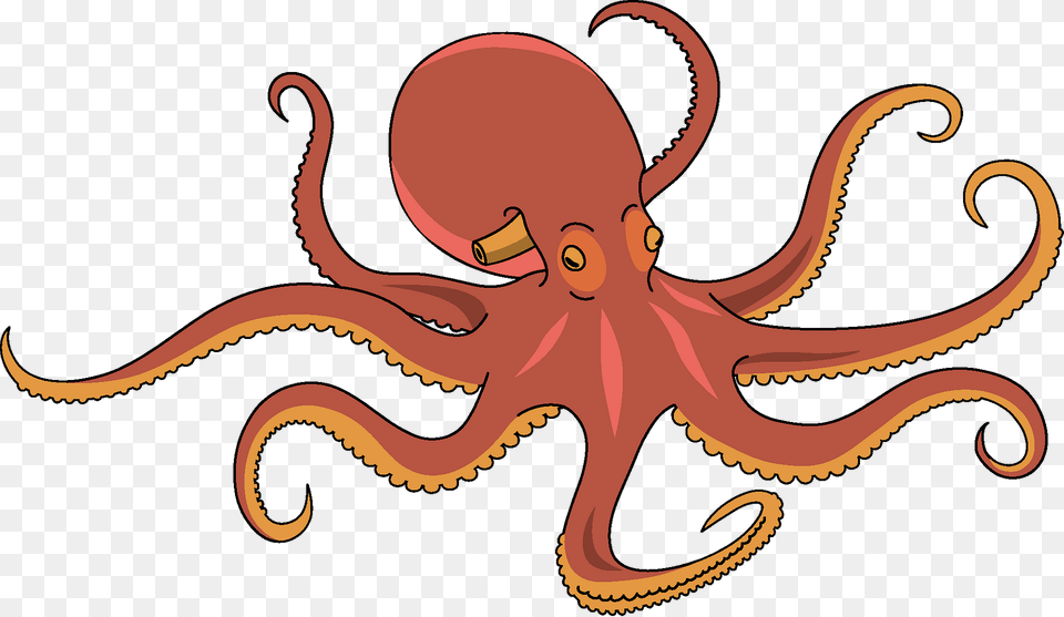 Octopus Clipart, Animal, Sea Life, Invertebrate, Baby Free Png