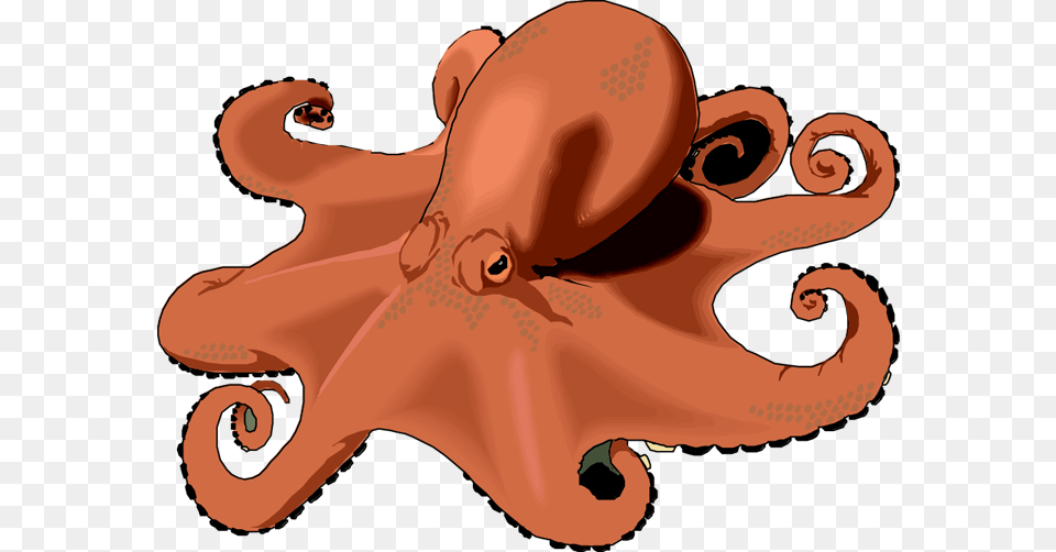 Octopus Clipart Images, Animal, Baby, Invertebrate, Person Png