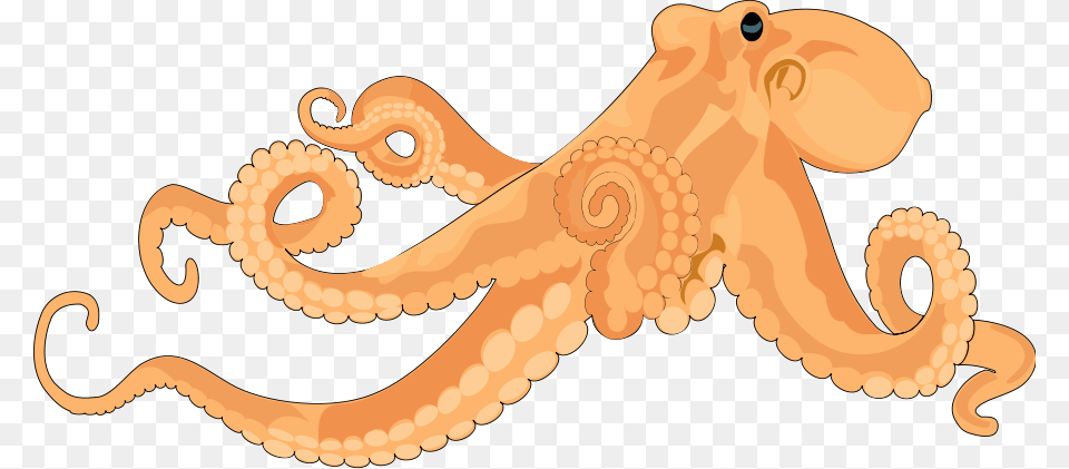 Octopus Clipart Realistic Octopus Clipart, Animal, Invertebrate, Sea Life, Dinosaur Free Png Download