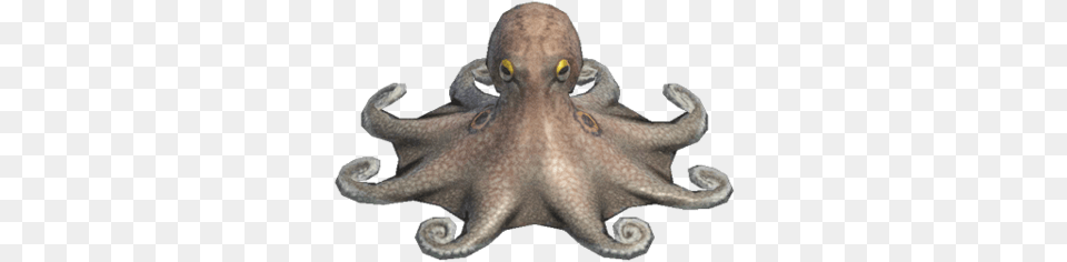 Octopus Deep Sea Creature Animal Crossing Wiki Fandom Poulpe Animal Crossing New Horizon, Sea Life, Invertebrate, Bear, Mammal Free Png Download