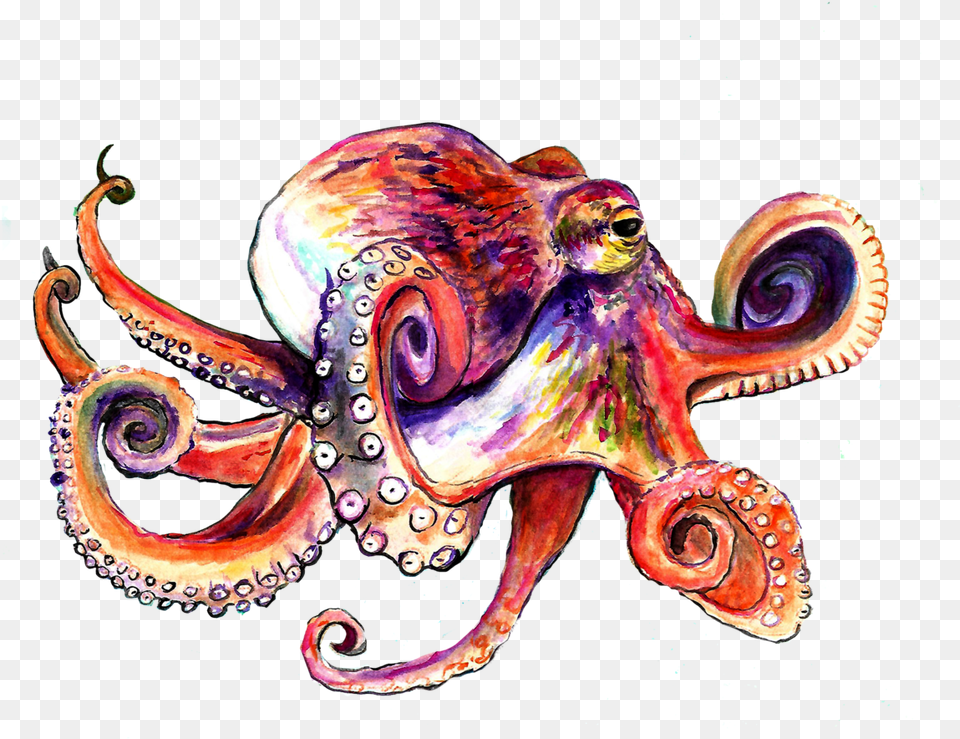 Octopus Download Illustration, Animal, Sea Life, Invertebrate, Dinosaur Free Transparent Png