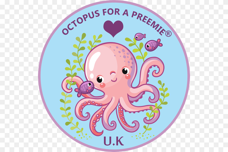 Octopus For A Preemie Uk, Animal, Sea Life, Invertebrate Free Transparent Png