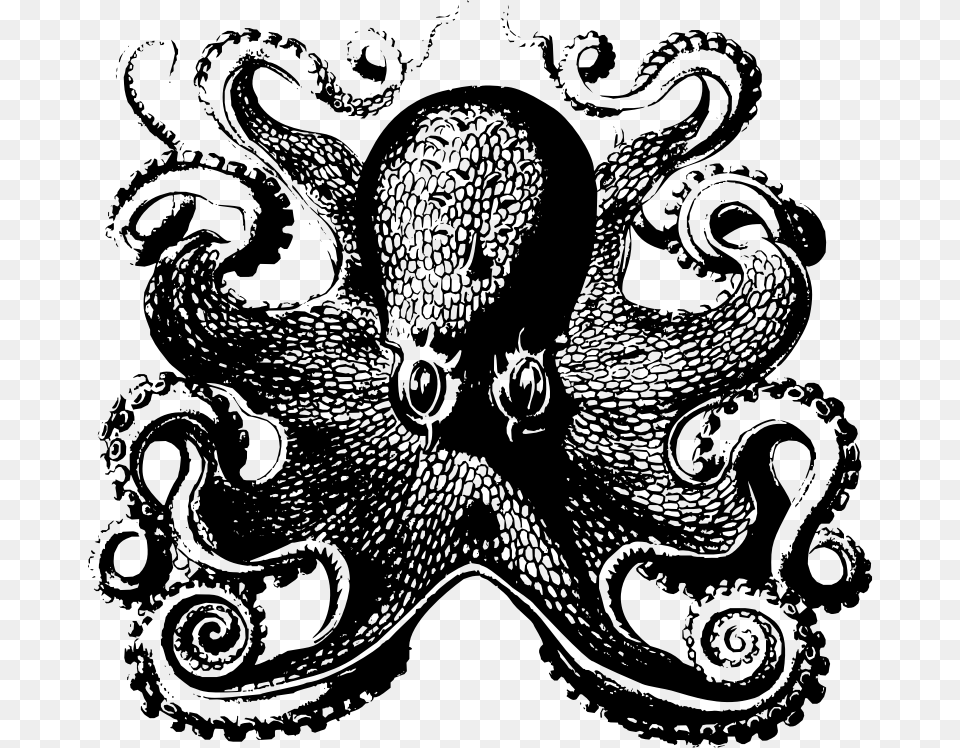 Octopus Front Victorian Octopus, Gray Free Png