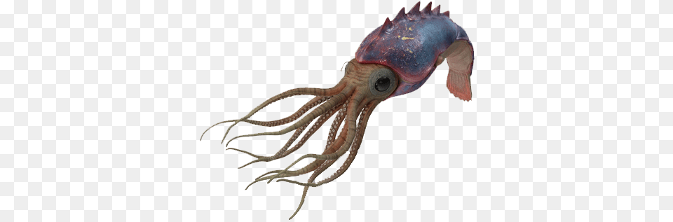 Octopus Image File Octopus, Animal, Sea Life, Food, Seafood Free Transparent Png