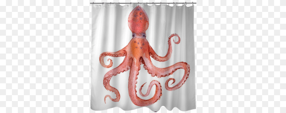 Octopus Isolated Octopus, Animal, Sea Life, Invertebrate Png