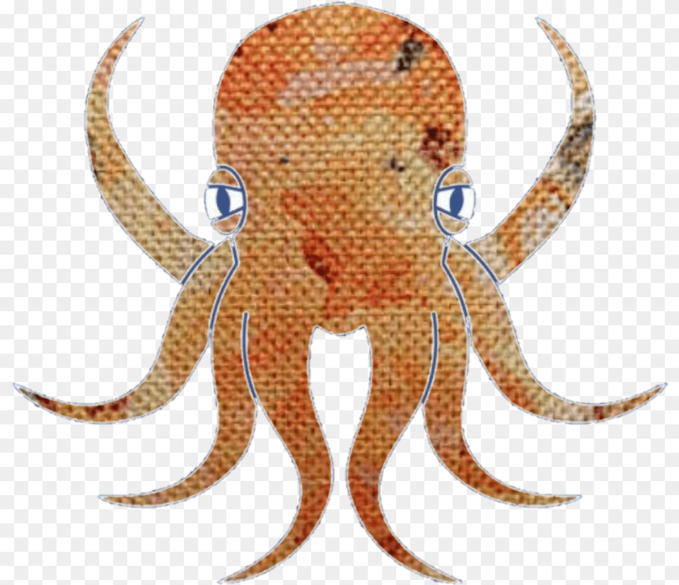 Octopus Octopus, Animal, Sea Life, Invertebrate, Reptile Free Png Download