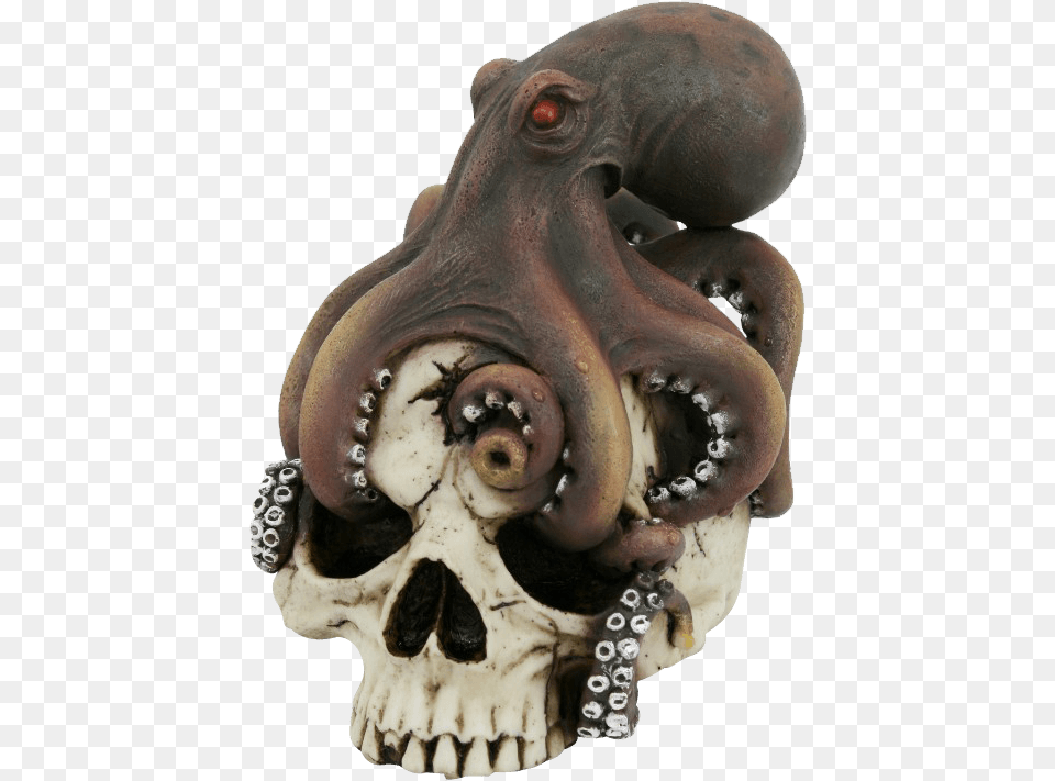 Octopus On Skull Skull, Animal, Bear, Mammal, Wildlife Free Png